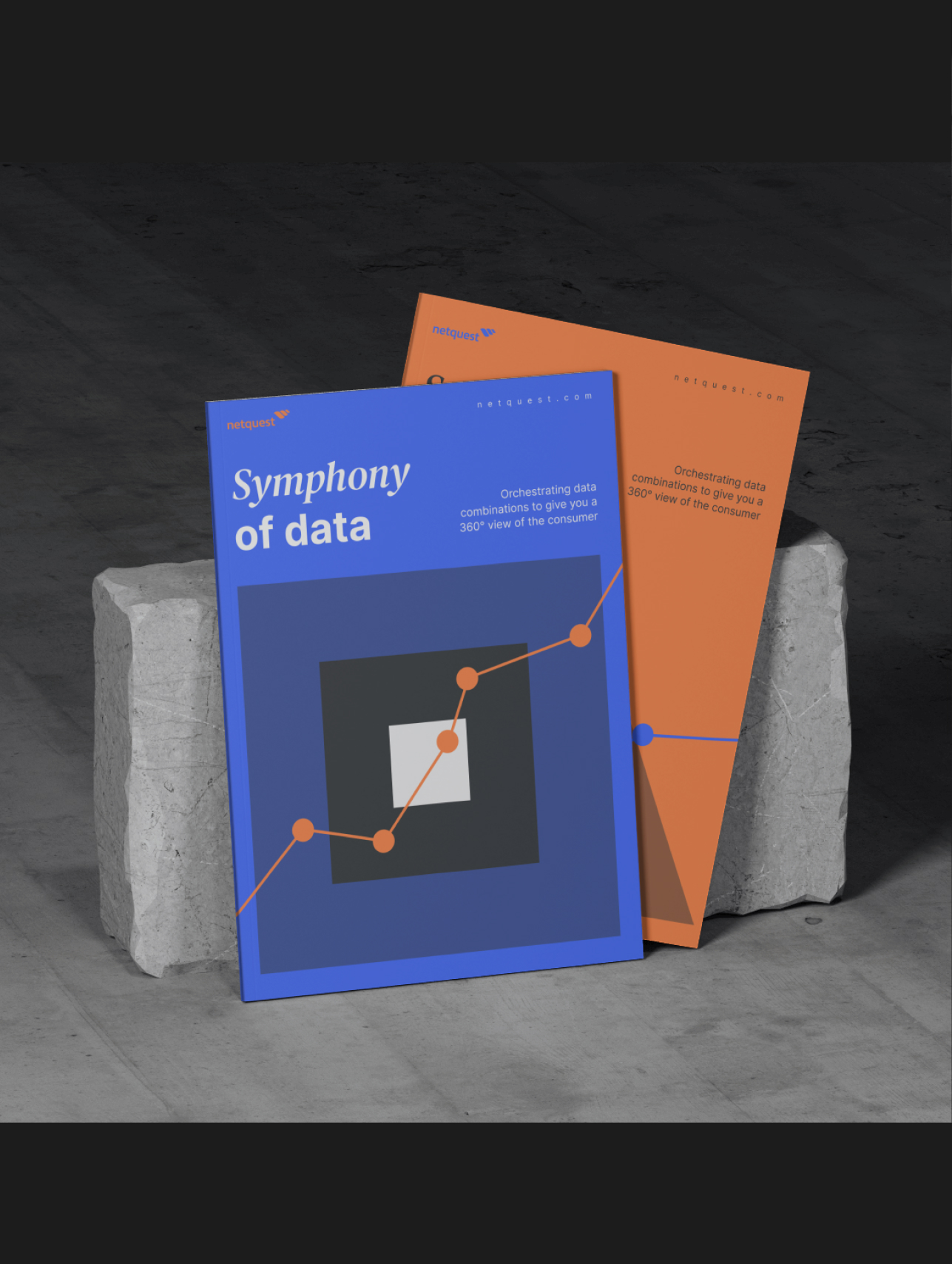 netquest-07 netquest-07